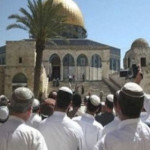 القدس وغزو القطعان