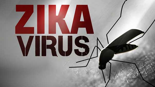 zika-virus.jpg