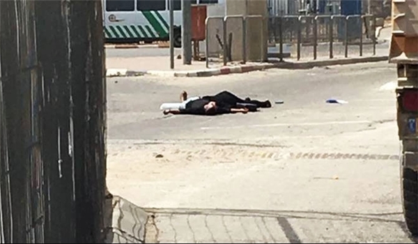 palestine-martyr-crime