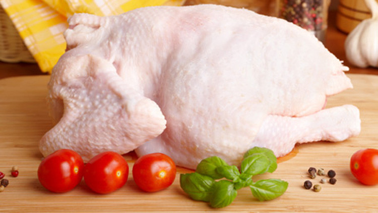 الديك الرومي