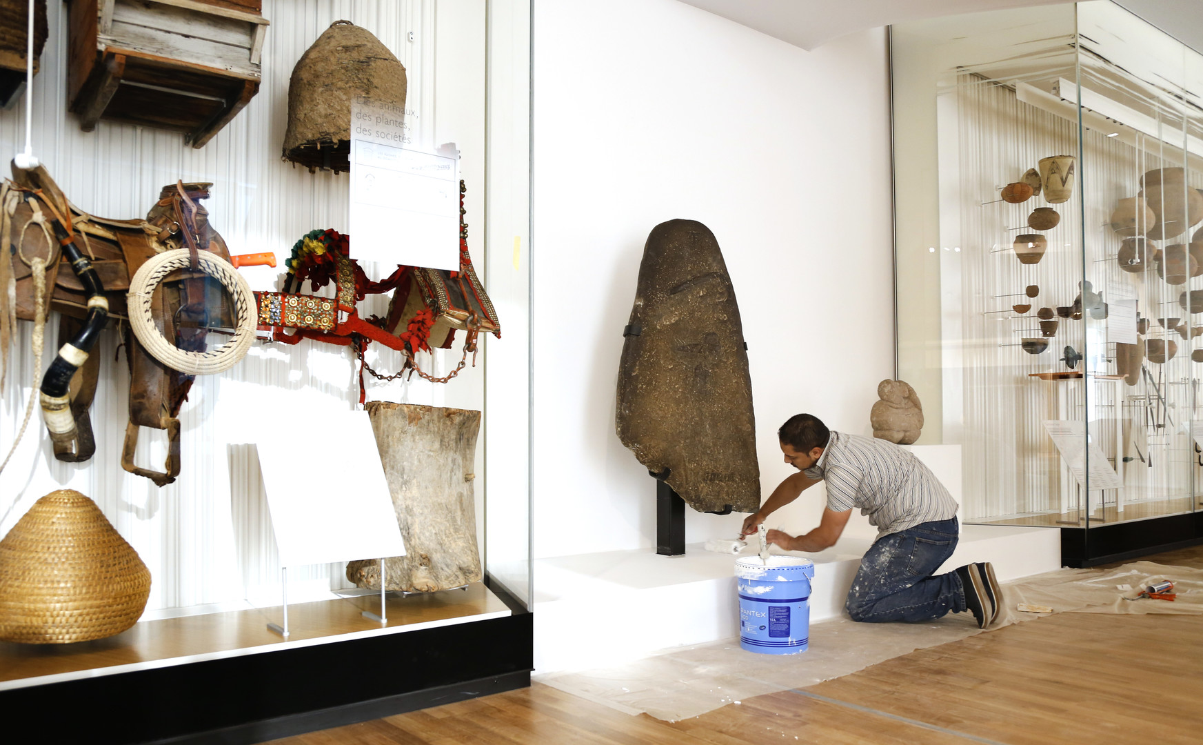 متحف البشرية في باريس