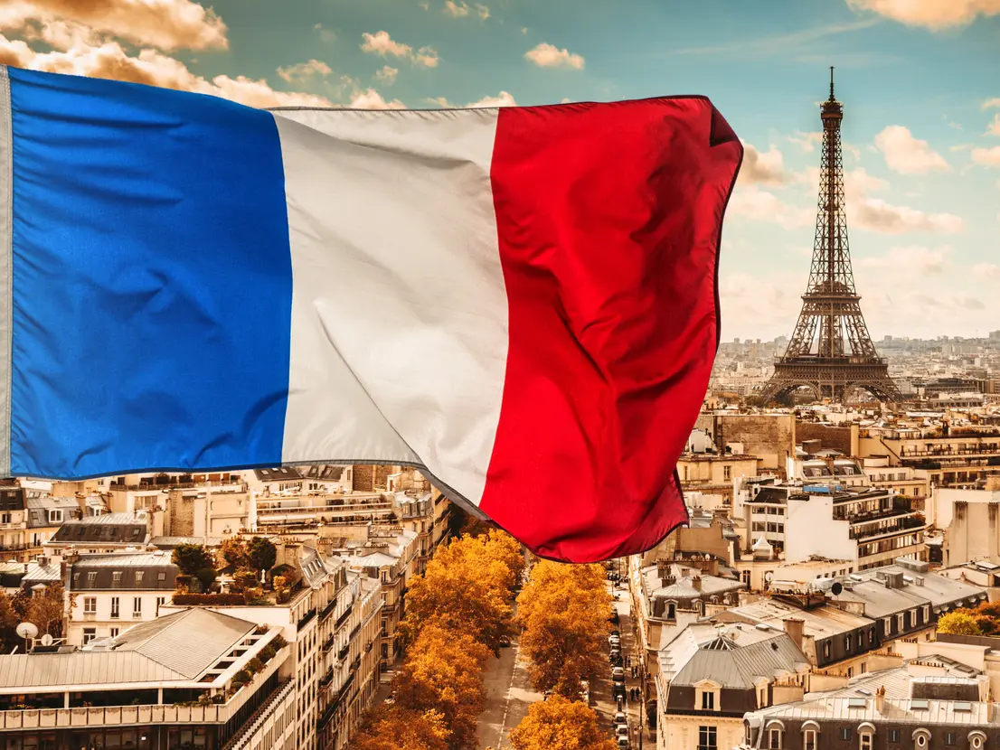 Fr страна. Флаг Орлеанской Франции. Госуд. Флаг. Франции. Флаг роялистов Франции. Флаг Парижа.